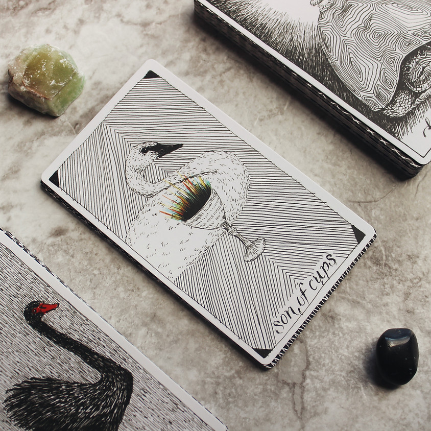 Love & Relationships Tarot Readings